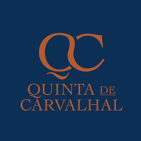 Quinta De Carvalhal - Casa Da Vinha Villa Guimaraes Bagian luar foto