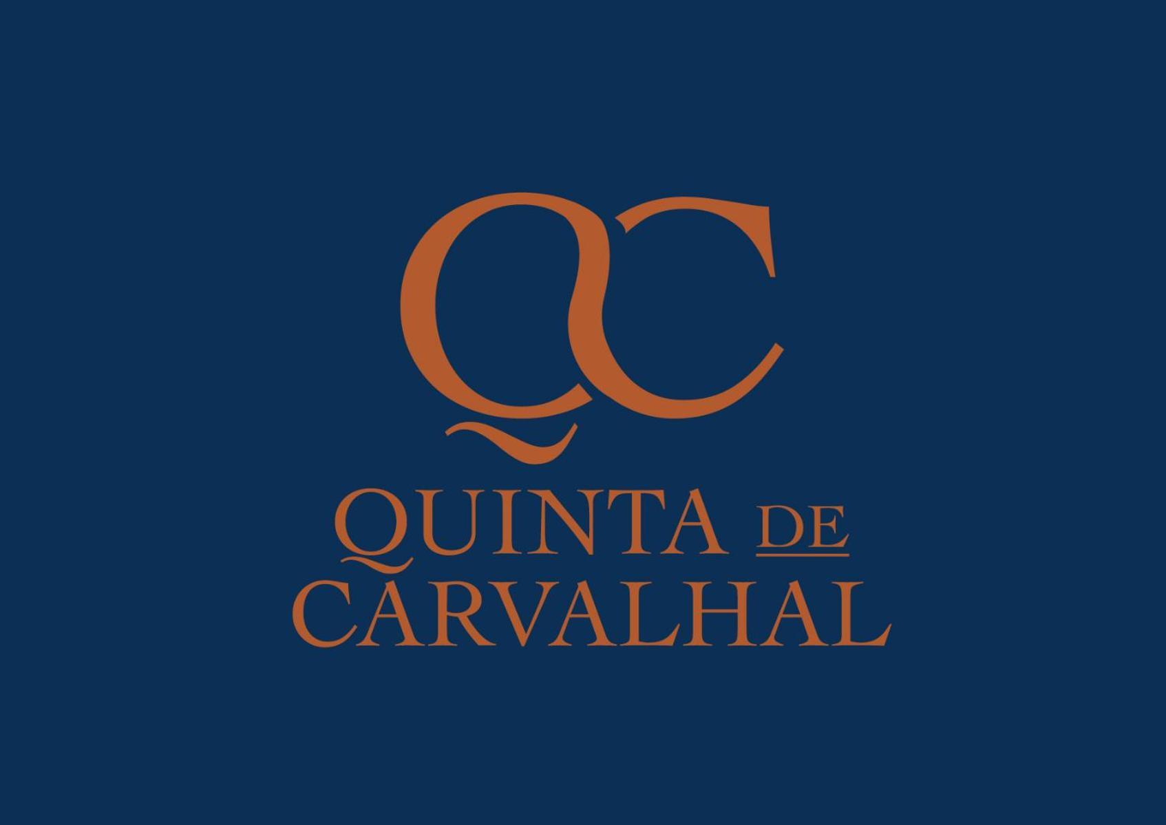 Quinta De Carvalhal - Casa Da Vinha Villa Guimaraes Bagian luar foto